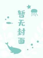 天台没有星星